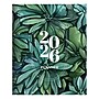 2026 TF Publishing Succulent 9" x 11" Calendar Year Monthly Planner, Paperboard Cover, Multicolored (26-4708)~#|#~6593DC93-0265-41D5-8E7F2C3E1CB7E717_sc7