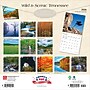 2026 BrownTrout Tennessee Wild & Scenic 12" x 12" Monthly Wall Calendar (9798330705795)~#|#~6599A968-F19E-4085-972DC401B547B266_sc7