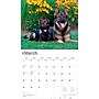 2026 BrownTrout For the Love of German Shepherds 14" x 12" Monthly Wall Calendar (9798330703395)~#|#~65CA559A-1F0A-4233-BD09BE3D3661EDC5_sc7