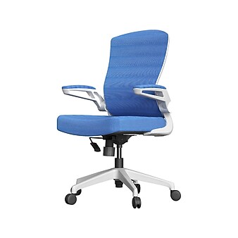 RAYNOR GROUP ION Fabric Task Chair, Blue/White (ION-WH-BLU)