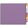 Medical Arts Press Reinforced End Tab File Folder, Straight Cut, Letter-Size, Lavender, 50/Box (S-01501-LAV)~#|#~65D9A0D9-DD91-4789-B203AE2352955D4E_sc7