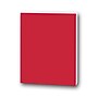 Flipside Foam Board, 20" x 30", Red, 10/Pack (20315-10)~#|#~65E1F098-7DB7-48CC-BA9269CAE6FC6C61_sc7