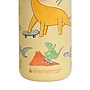 Elemental Core Pop Stainless Steel Double Wall Insulated Water Bottle, 18 oz., Skater Dinos (EBC18SD30P)~#|#~65FE2DDF-7FAD-4191-8E8EC4A7A6C9F8E9_sc7