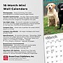 2026 BrownTrout Labrador Retrievers 7" x 7" Monthly Wall Calendar (9798330704217)~#|#~6600A427-E133-4598-A2C2EEAC09644AF3_sc7
