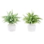 Monarch Specialties Inc. 16" Artificial Eucalyptus Grass in Pot, 2/Set (I 9368)~#|#~6605D0CB-0BA4-4A10-BDA15F0F0E5FBE58_sc7