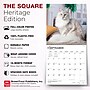 2027 BrownTrout Maine Coon Cats 12" x 12" Monthly Wall Calendar (9798330711819)~#|#~66105ECD-2FD2-42D2-82CF74DC7B08CFDD_sc7