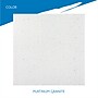 ICEBERG IndestrucTable 30" x 96" Plastic Folding Table, Platinum Granite (65233)~#|#~661DC254-EA48-4F5B-B80D7AC8E01F0F7F_sc7