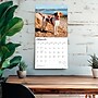 2026 BrownTrout Brittanys 12" x 12" Monthly Wall Calendar (9798330702640)~#|#~663F94BA-810B-41B2-AFA0C5C3B9717839_sc7