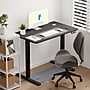 FlexiSpot EC2 40"W Electric Rectangular Adjustable Standing Desk, Black (EC2B-4024B)~#|#~664A89A0-9BB5-476C-B59D6D56A435152C_sc7