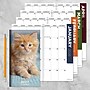 2026-2027 TF Publishing Kitten 3.5" x 6.5" Monthly, Paperboard Cover, Multicolored (26-7022)~#|#~664F6CA0-8875-42A0-9ACBEB4FAEF2D09A_sc7