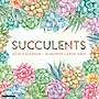 2026 Willow Creek Succulents 12" x 12" Monthly Wall Calendar (55564)~#|#~667F70C3-5C02-4316-8D77E418D2E9FE0B_sc7