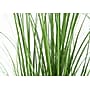 Monarch Specialties Inc. 47" Artificial Grass Tree in Pot (I 9565)~#|#~668EFE71-BFDC-4F1C-9D628146535B4CD4_sc7