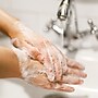 Dial Basics Liquid Hand Soap Refill, Floral, 128 Oz. (06047)~#|#~669FB3CD-5F94-419B-BA63C395EDCA279E_sc7