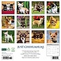 2026 Willow Creek Chihuahuas 12" x 12" Monthly Wall Calendar (50699)~#|#~66ABF075-AE25-451D-89D8264745F16D48_sc7