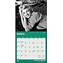 2026 BrownTrout Marilyn Monroe 7" x 7" Monthly Wall Calendar (9798330701377)~#|#~66B9BDA8-2255-4796-814ACBBEE27C4BF0_sc7