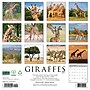 2027 Willow Creek Giraffes 12" x 12" Monthly Wall Calendar (60421)~#|#~66C7E115-C3DD-427B-B6A79FCDDDCD09E8_sc7