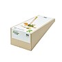 Plan Toys Wooden Push Along Duck Toy, Multicolored (PTS5626)~#|#~66D07729-838D-4B98-B2255835A74F30A7_sc7