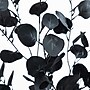 Nearly Natural Artificial Halloween Black Eucalyptus Tree, 6' (T5151)~#|#~66D35F46-FE39-41E0-A5D951387895C9C0_sc7