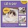 2027 TF Publishing Cat A Day 5.25" x 5.25" Daily Day-to-Day Calendar, Multicolored (27-3002)~#|#~66D6BCAF-DBC8-4777-85F119A620EAFC32_sc7