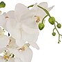 National Tree Company 21" White Orchid Flower in Wood Box (MT81-PH0354PWH)~#|#~66DDEAF0-3681-42B7-AC7D3083660C3F14_sc7