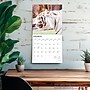 2026 BrownTrout White Tigers 12" x 12" Monthly Wall Calendar (9798330706341)~#|#~66EDEC74-CB20-43D3-AE219CF50AA1C54D_sc7