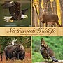 2027 Willow Creek Northwoods Wildlife  12" x 12" Monthly Wall Calendar (61541)~#|#~6728B816-7EA8-4DD1-8FFE7051C267AC62_sc7