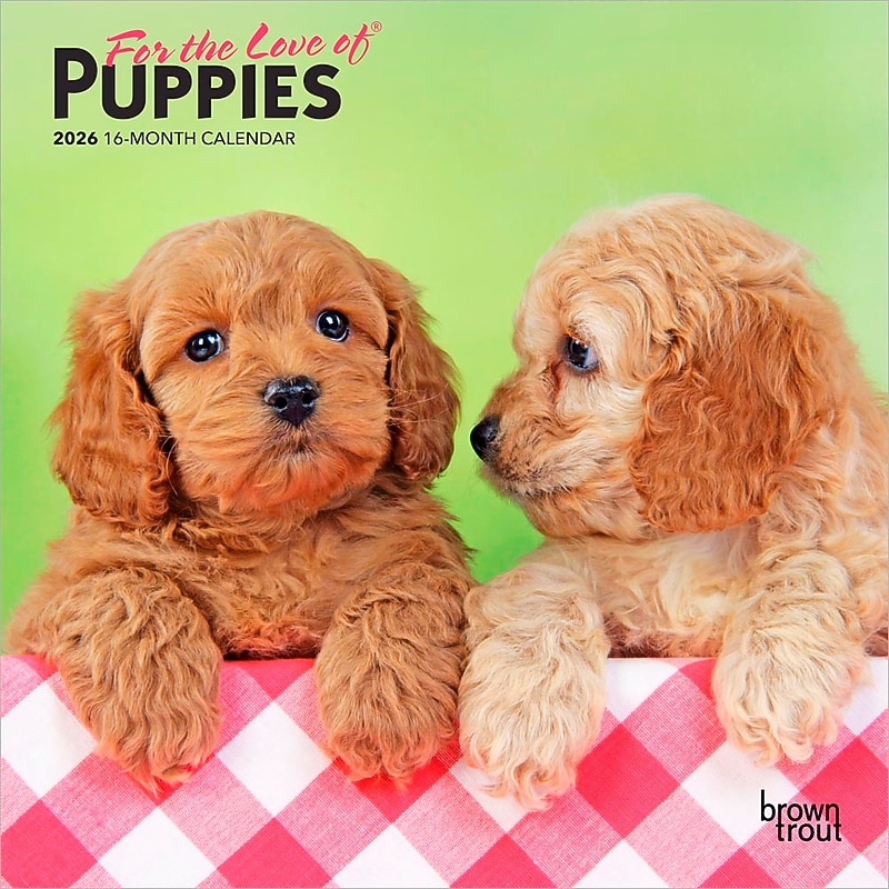 2026 BrownTrout For the Love of Puppies 7" x 7" Monthly Wall Calendar (9798330705252) image 1