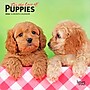 2026 BrownTrout For the Love of Puppies 7" x 7" Monthly Wall Calendar (9798330705252)~#|#~67338BDD-95B1-4FB5-B7E509D085D3424C_sc7