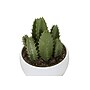 Monarch Specialties Inc. 6" Artificial Succulent Plant in Pot, 3/Set (I 9555)~#|#~677EBC63-AA59-4256-9D5327709C6AC1B6_sc7