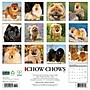 2026 Willow Creek Chow Chows 12" x 12" Monthly Dry Erase Wall Calendar (50712)~#|#~67807279-DC9E-460C-9A875D44EF981C78_sc7