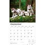 2026 BrownTrout For the Love of Siberian Huskies 14" x 12" Monthly Wall Calendar (9798330707171)~#|#~678AD018-99D4-4A9D-BC41338438011779_sc7