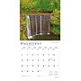 2026 BrownTrout Ohio Nature 12" x 12" Monthly Wall Calendar (9798330704941)~#|#~6794F467-01A8-479B-ACCF7107AC2D23A5_sc7