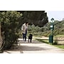 Furloo Steel Outdoor Pet Waste Station Kit with Roll Bag Dispenser, 11.5 Gallon, Green (FLO1R-S-G)~#|#~679FB798-7CC7-44A6-913FBBCFFA38C082_sc7