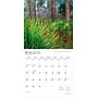 2026 BrownTrout National Parks 12" x 12"  Monthly, Paper Cover, National Parks (9798330704804)~#|#~67A12FBF-F0CF-4238-B57E7CD9D0D15328_sc7