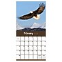 2027 TF Publishing Wild 11" x 12" Monthly Wall Calendar, Multicolored (27-1032)~#|#~67B8899E-7DE9-4807-BC23CDAC63F63D92_sc7