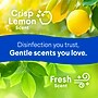 Clorox Disinfecting Wipes, Fresh & Crisp Lemon Scent, 75 Wipes/Container, 12/Carton (30208)~#|#~67B9D1EC-43D9-4A0F-8BB4BC10565C0484_sc7