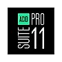 Magix ACID Pro 11 Suite for 1 User, Windows, Download (639191910180)~#|#~67C4E9DA-3C75-4CB2-A6389A2F14B6952B_sc7