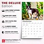2027 BrownTrout For the Love of Boston Terriers 14" x 12" Monthly Wall Calendar, Assorted Colors (9798330714667)~#|#~67C91495-3BB5-4C6F-800E6D6478465E37_sc7