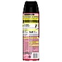 Raid Ant & Roach Killer 26 Aerosol for Ants & Roaches, Fragrance Free, 17.5 oz (697318)~#|#~67CA0A22-F928-49E3-997F35018877E9FE_sc7