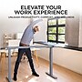 Uncaged Ergonomics Rise Up Electric Adjustable Height Desk Frame, Gray (Rug)~#|#~6803CCD8-D09D-4F38-8D666F5EF97CAF39_sc7