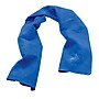 Chill-Its 6672 Heat Stress Prevention & Recovery Personal Protection Kit, One Size, 10 Pieces/Kit (12344)~#|#~68075349-5C23-4DE8-8D945D347EF8C5B4_sc7