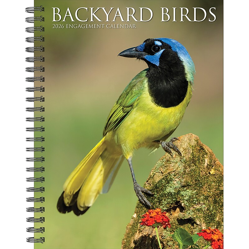 2026 Willow Creek Backyard Birds 6.5" x 8.5" Daily & Monthly Personal Organizer (54574) image 1