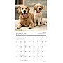 2026 Willow Creek Golden Rules 12" x 12" Monthly Wall Calendar (51290)~#|#~680FD9EF-99D8-4448-95093C6C0D20BBD3_sc7