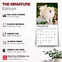2027 BrownTrout Pomeranians 7" x 7" Monthly Wall Calendar (9798330710058)~#|#~6813AA4F-66CF-4074-966C287B212C5E16_sc7