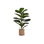 Monarch Specialties Inc. 28" Artificial Fiddle Tree in Basket (I 9505)~#|#~681410F5-AC87-4F72-AD30D4D5A0863004_sc7