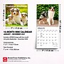 2027 BrownTrout Australian Shepherds 7" x 7" Monthly Wall Calendar, Assorted Colors (9798330709878)~#|#~6821AD9B-4FC5-4828-BEB0A809592C1E7D_sc7