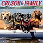 2027 Willow Creek Crusoe the Celebrity Dachshund 12" x 12" Monthly Wall Calendar, Assorted Colors (59920)~#|#~6831A6AD-475E-4CEC-829B0F3BC868FCC5_sc7