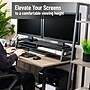 Mind Reader 2-Tier MDF Double Monitor Stand, Dual Screen Riser with Storage Shelf, Up to 88 lbs., Black (DBMONMDF-BLK)~#|#~68371B1A-44EA-4B7D-8F8D36426AF84480_sc7