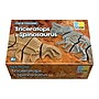 Yellow Door Dig and Discover Triceratops & Spinosaurus, Assorted Colors, 10/Set (YUS1228)~#|#~6840E49E-3409-4BDF-B54609FF2AE81ABF_sc7