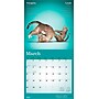 2026 Plato Yoga Cats Together 12" x 12" Monthly Wall Calendar (9798330701926)~#|#~684D5E0B-5A63-4402-850A36E4E541521A_sc7